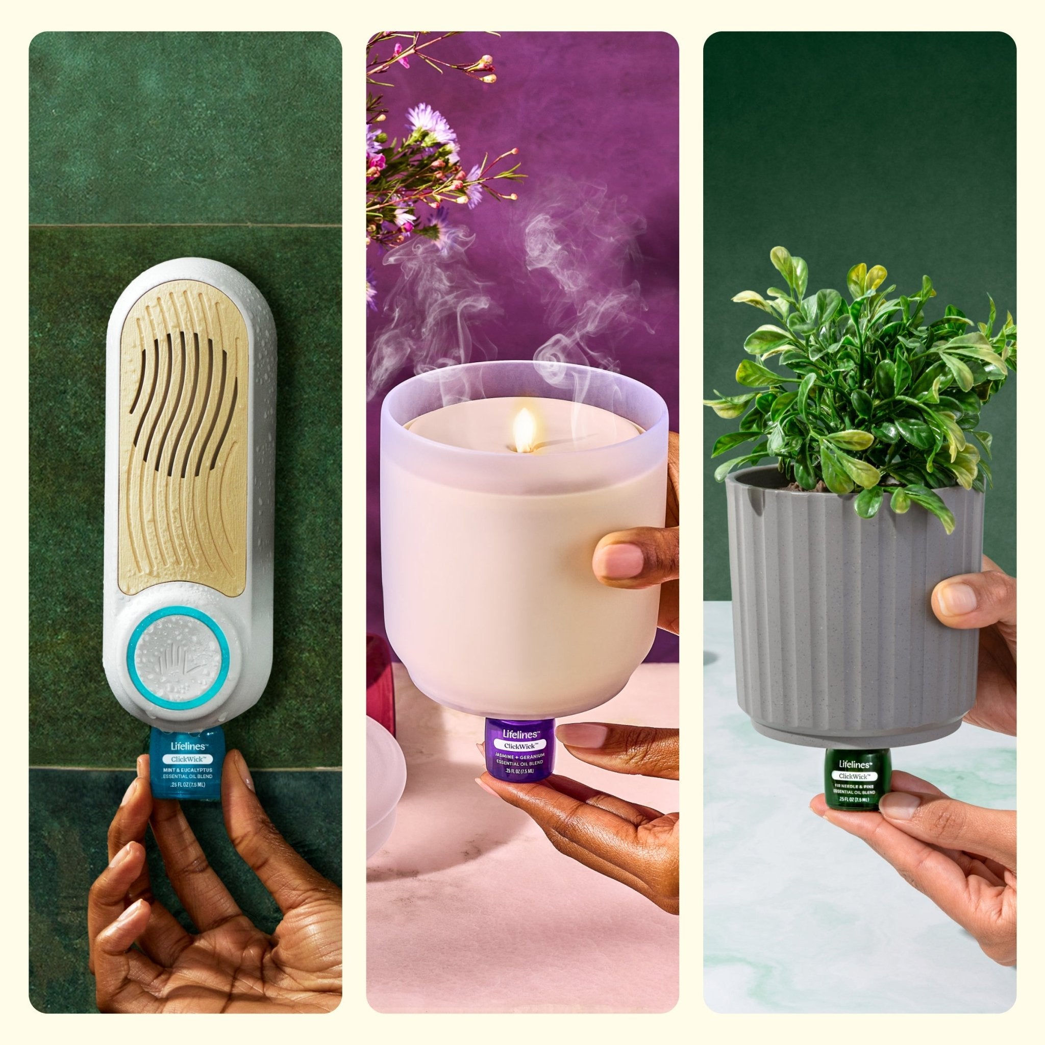 蛇口付き Life Essence 300ml 4本セット ClickWick® Discovery Set – Lifelines