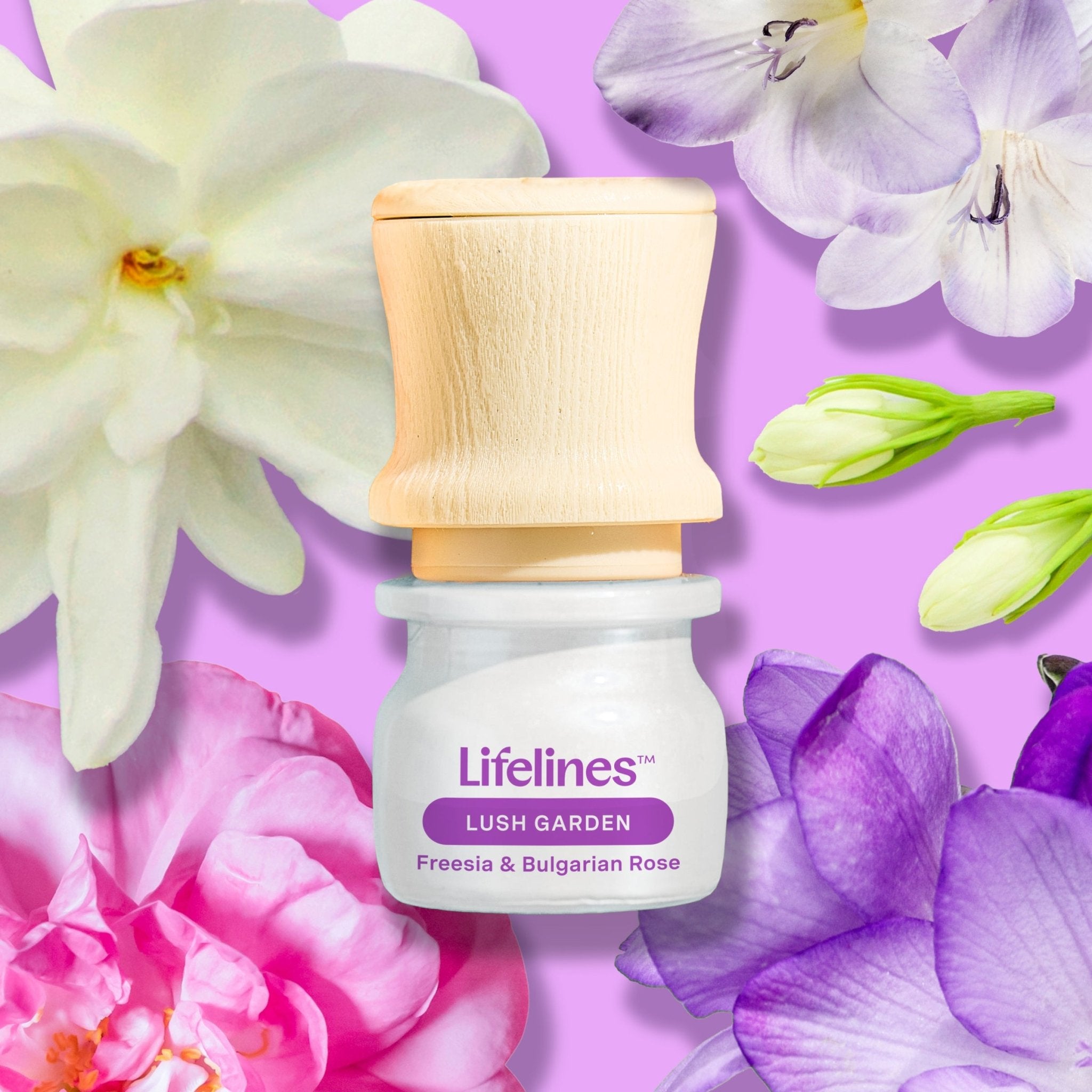 【未開封　期限近　お得】Life Essence O 300ml 3本セット Discovery Set - Be Transported (5 oils) - 3ml – Lifelines