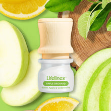 Discovery Set - Be Transported (5 oils) - 3ml - Lifelines