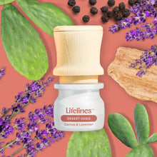 Discovery Set - Be Transported (5 oils) - 3ml - Lifelines