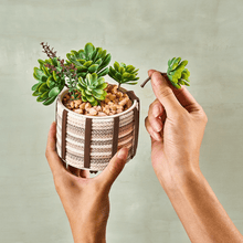 FlowCrafts: Cord - Wrapped Planters - Lifelines