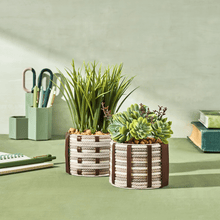 FlowCrafts: Cord - Wrapped Planters - Lifelines