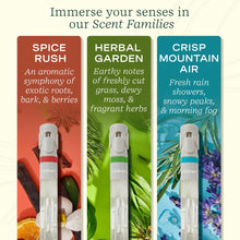 Lifelines 3 Pack Pen Diffuser - Aromatic Embrace - Lifelines