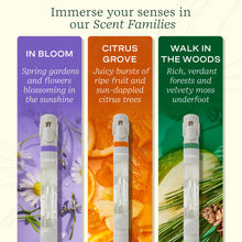 Lifelines 3 Pack Pen Diffuser - Nature's Escape - Lifelines
