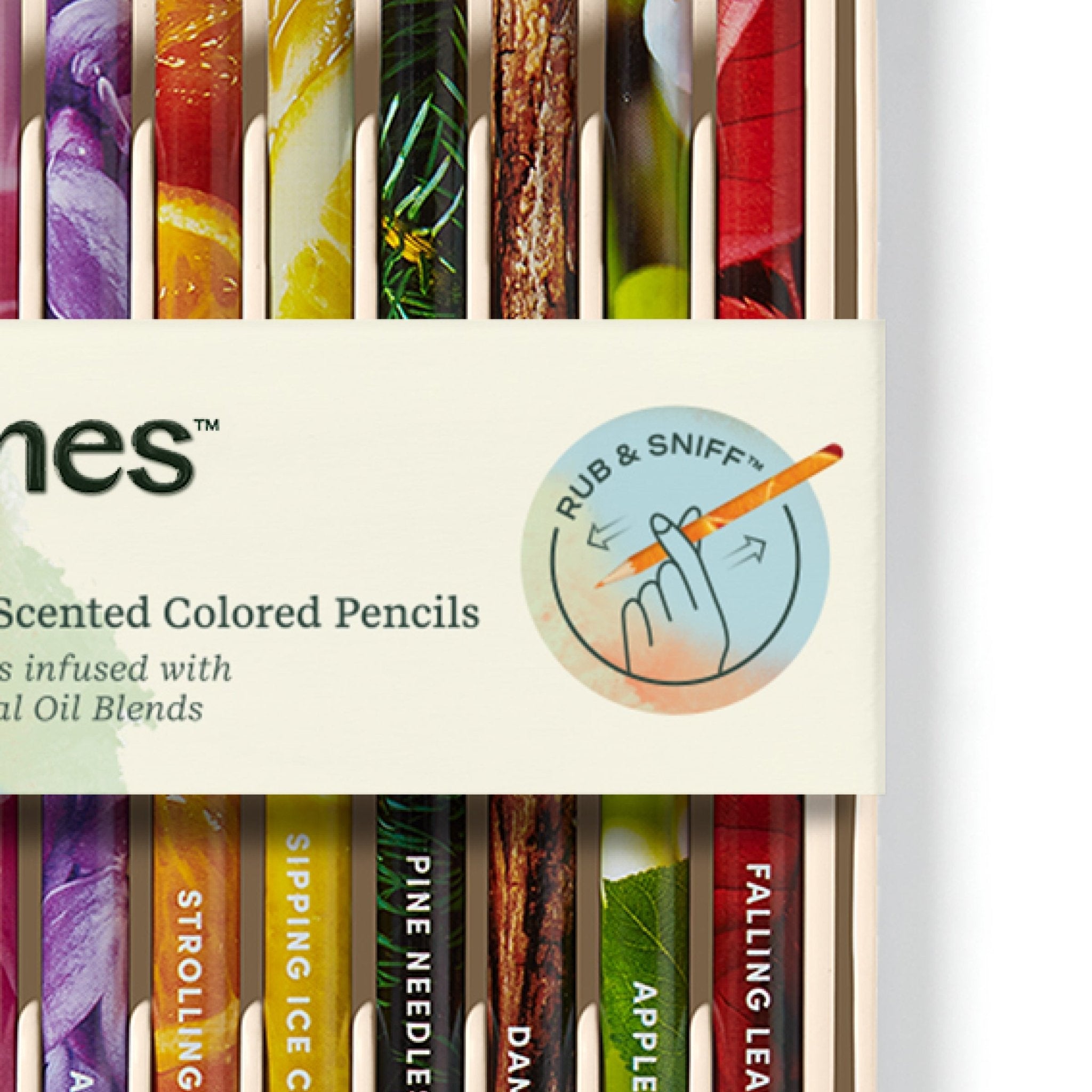 Rub & Sniff™ Scented Colored Pencils - Classic – Lifelines