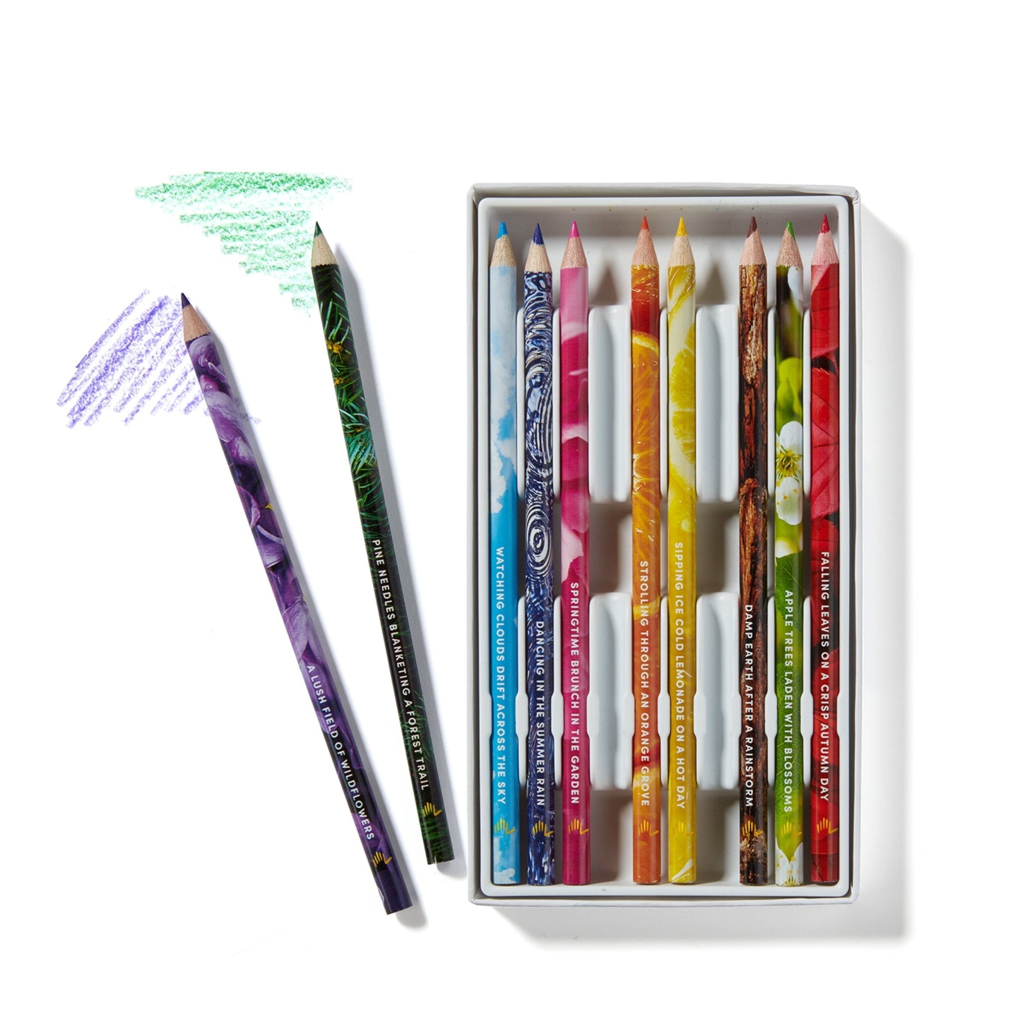 Realist Life Line (美品) Rub & Sniff™ Scented Colored Pencils - Classic – Lifelines